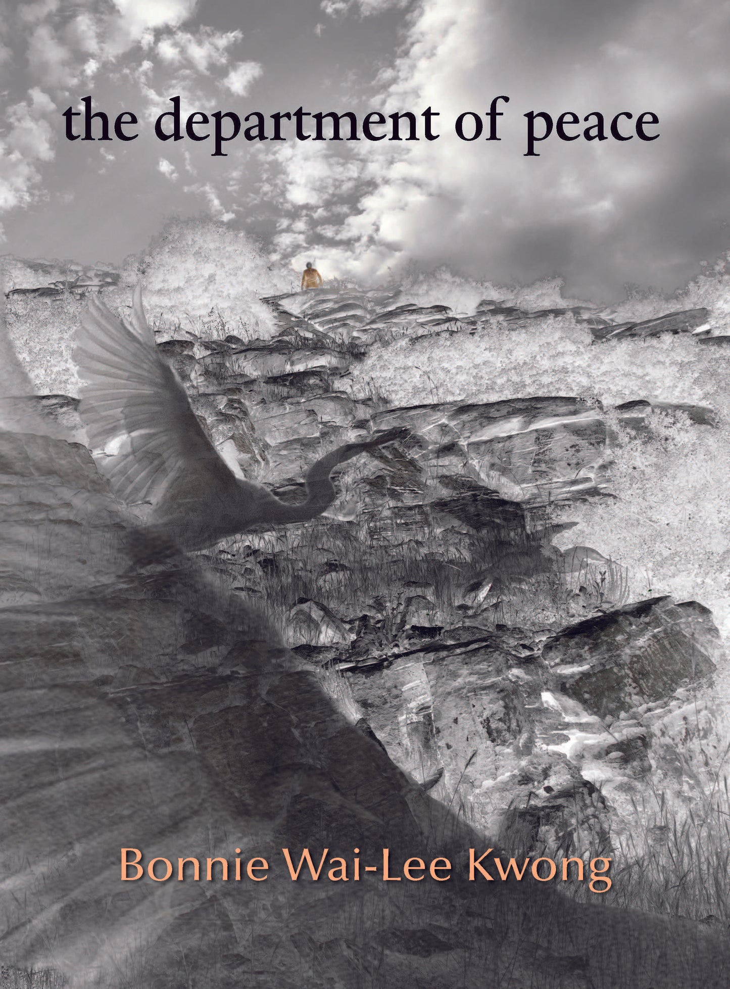 the department of peace by Bonnie Wai-Lee Kwong