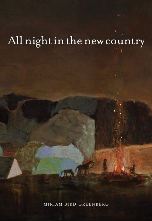 All night in the new country by Miriam Bird Greenberg