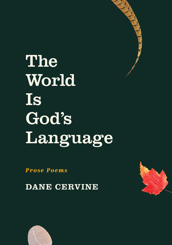 The World Is God’s Language by Dane Cervine